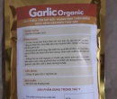 ⭐⭐⭐SINH TỐ TỎI TỰ NHIÊN GARLIC OGANIC