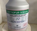 ⭐⭐⭐CEFTIOFUR SODIUM ⚡️ 