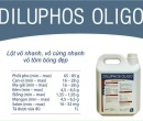 ⭐⭐DILUPHOS OLIGO⭐️⭐
