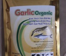 ⭐⭐⭐SINH TỐ TỎI TỰ NHIÊN GARLIC OGANIC