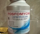 ⭐⭐⭐⭐FOSFOMYCIN ⭐⭐