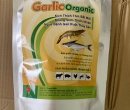 ⭐SINH TỐ TỎI TỰ NHIÊN GARLIC OGANIC