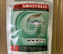 ⭐⭐⭐ BIO AMOXCOLIS