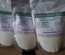 ⭐⭐⭐CIPROFLOXACIN HCL ấn độ⭐