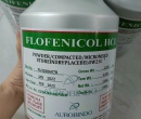 ⭐FLORFENICOL HCL ẤN ĐỘ⭐