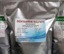 ⭐️GENTAMICIN SULFATE ẤN ĐỘ⭐️