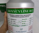 ⭐DOXYCYCLINE HCL ẤN ĐỘ⭐