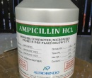 ⭐️AMPICILLIN TRIHYDRATE BP MICRINIZED⭐️