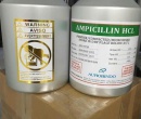 ⭐️AMPICILLIN TRIHYDRATE BP MICRINIZED⭐️
