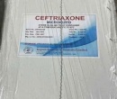 ⭐️CEFTRIAXONE MICRONUZED ẤN ĐỘ⭐️