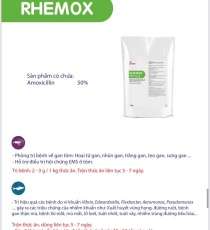⭐⭐⭐⭐RHEMOX⭐⭐⭐