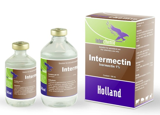 ⭐⭐⭐INTERMECTIN 1 %⚡️