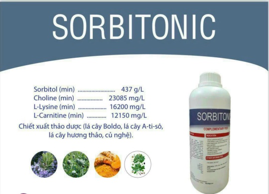 ⭐⭐⭐SORBITONIC