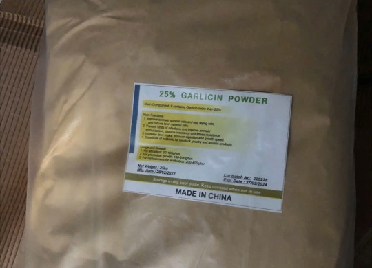 ⭐GARLIC POWDER TỎI 